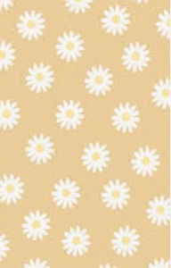 Meet your Posher, Daisy